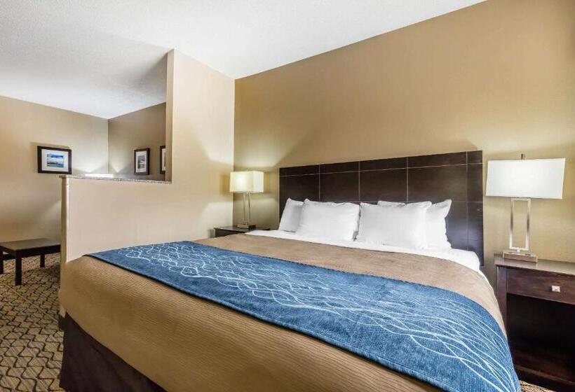 Стандартный Номер Кровать Кинг, Comfort Inn & Suites Crystal Inn Sportsplex