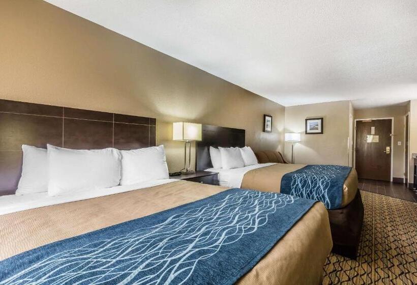 Номер Стандарт, Comfort Inn & Suites Crystal Inn Sportsplex