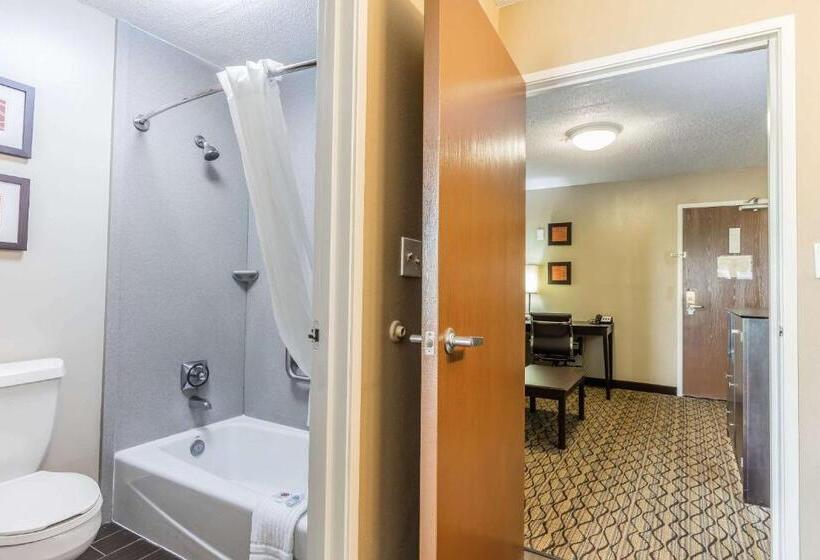 Люкс Кровать Кинг, Comfort Inn & Suites Crystal Inn Sportsplex