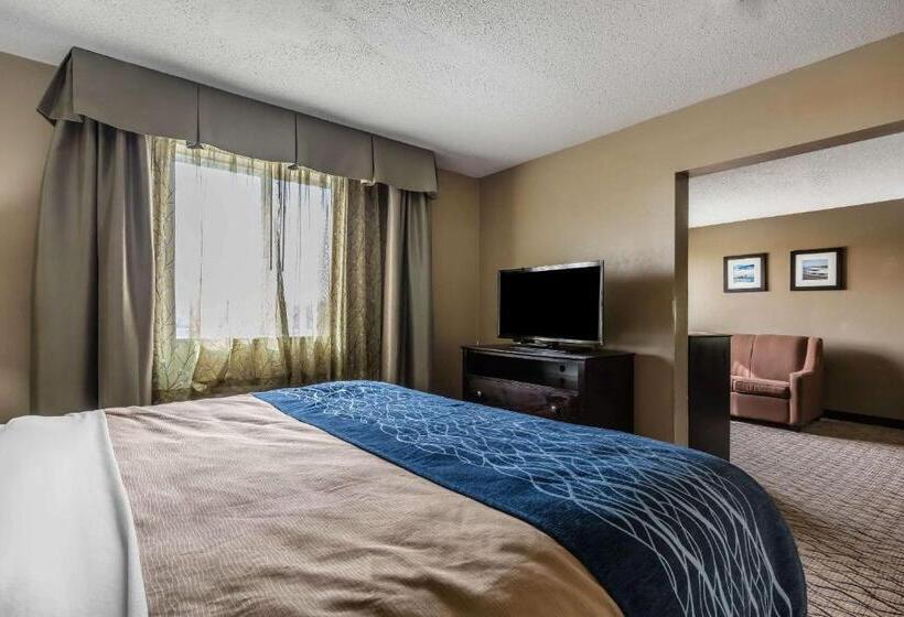 Люкс Кровать Кинг, Comfort Inn & Suites Crystal Inn Sportsplex