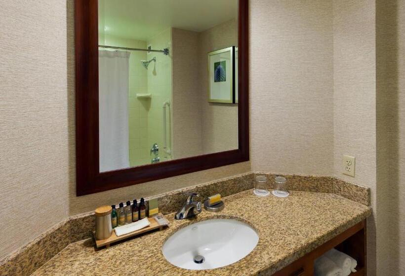带大床的标准间, Denver Marriott South At Park Meadows