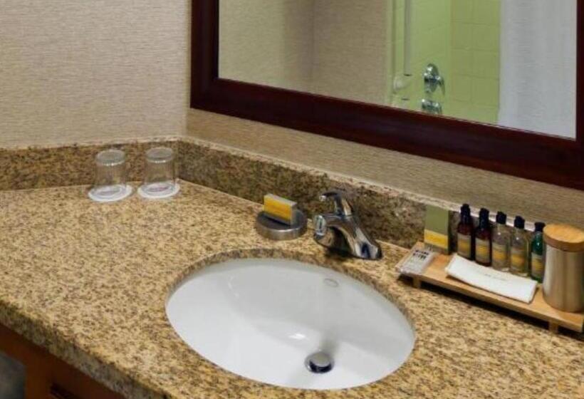 适合残疾人士使用的带超级大床的标准间, Denver Marriott South At Park Meadows
