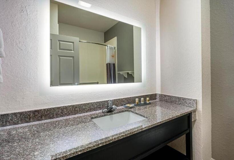 Номер Стандарт Кровать Кинг Адаптированный для Инвалидов, La Quinta By Wyndham Conroe