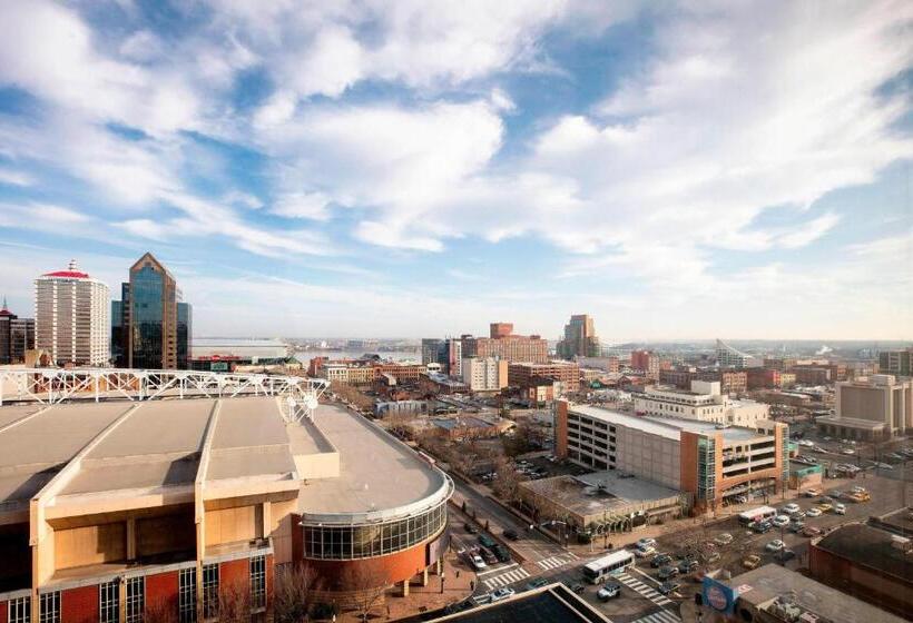 اتاق لوکس با تخت بزرگ, Louisville Marriott Downtown