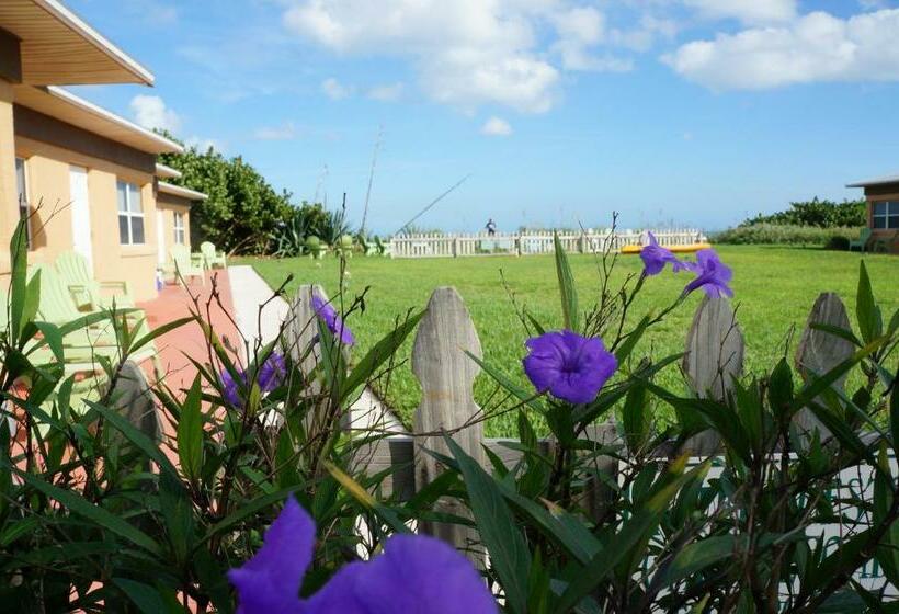 바다 전망 스위트, Ocean Front Paradise Resort