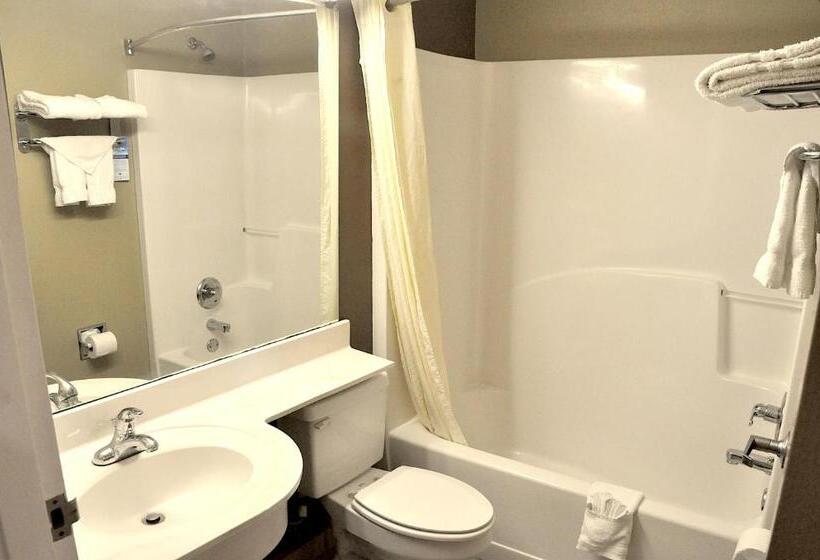 스탠다드 룸, Microtel Inn & Suites By Wyndham Lithonia/stone Mountain