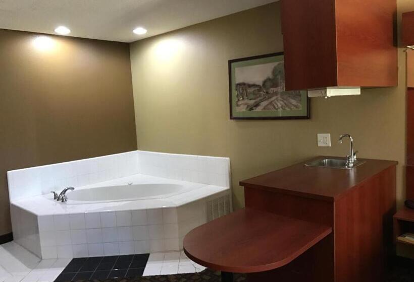 디럭스 스튜디오, Microtel Inn & Suites By Wyndham Lithonia/stone Mountain