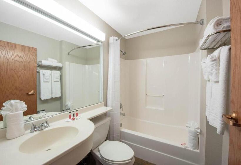 Standard Szoba, Microtel Inn & Suites By Wyndham Springfield