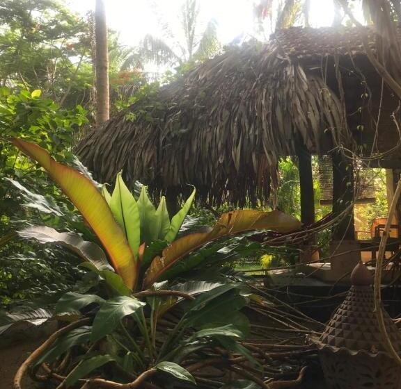 Cabane, Surf N Sun   Arugam Bay