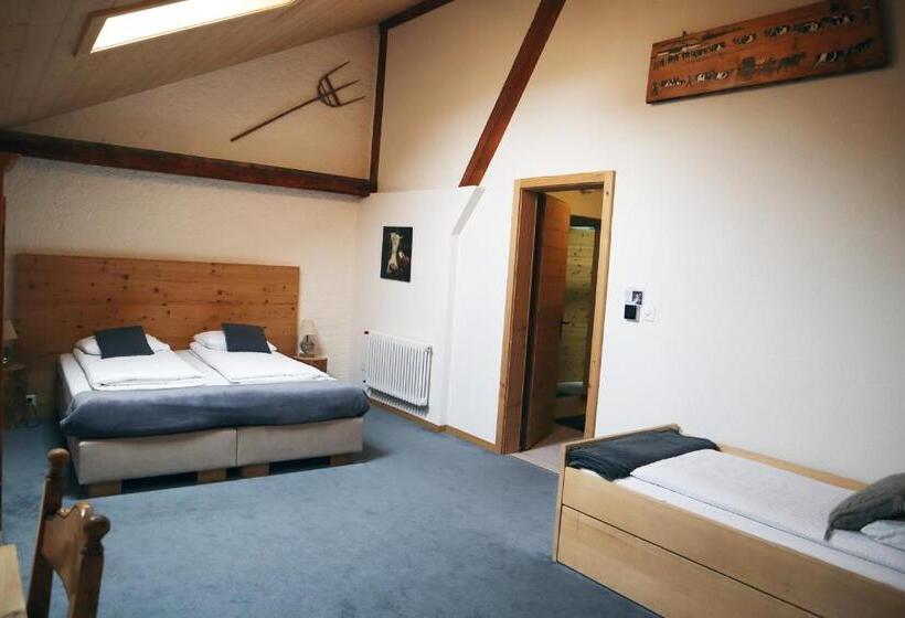 Трежместный Номер Economy, Gruyère Rooms