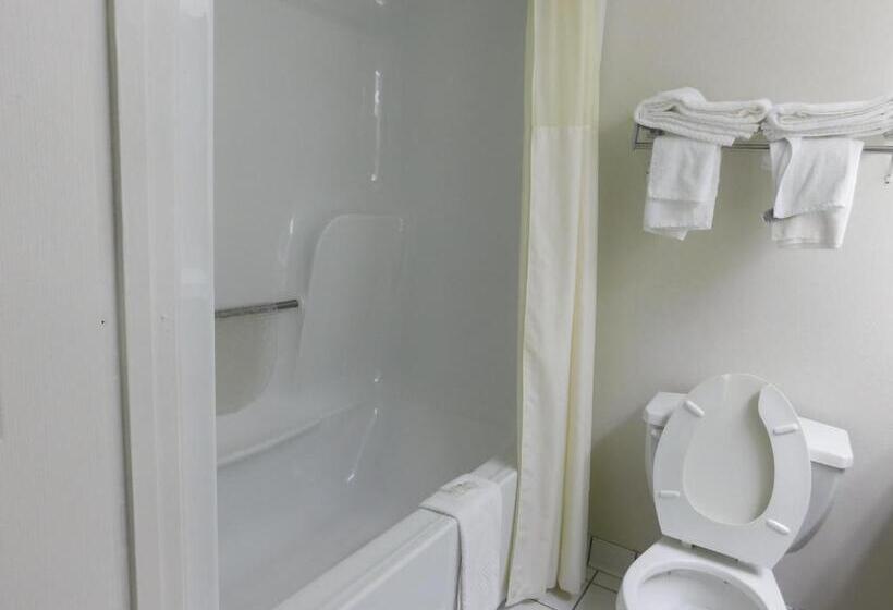 스탠다드 룸 더블 침대 2개, Quality Inn & Suites Thomasville