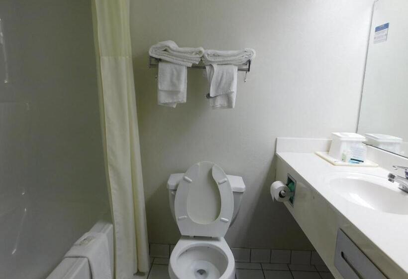 장애인을 위한 킹사이즈 침대 스탠다드 룸, Quality Inn & Suites Thomasville