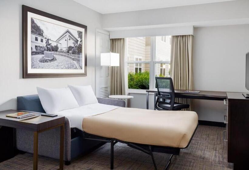 Люкс Адаптированный для Инвалидов, Residence Inn Boston Franklin