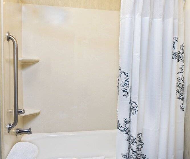 스위트, Residence Inn By Marriott Lakeland