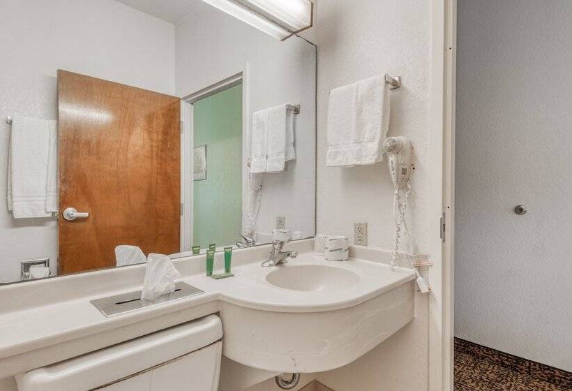 适合残疾人使用的标准间, Trident Inn & Suites, Baton Rouge