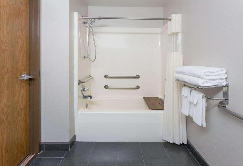 장애인을 위한 퀸사이즈 스탠다드 룸, Microtel Inn And Suites By Wyndham Appleton