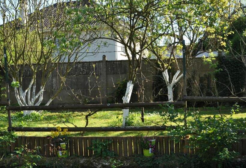اتاق استاندارد با چشم‌انداز باغ, Villa Le Cloky