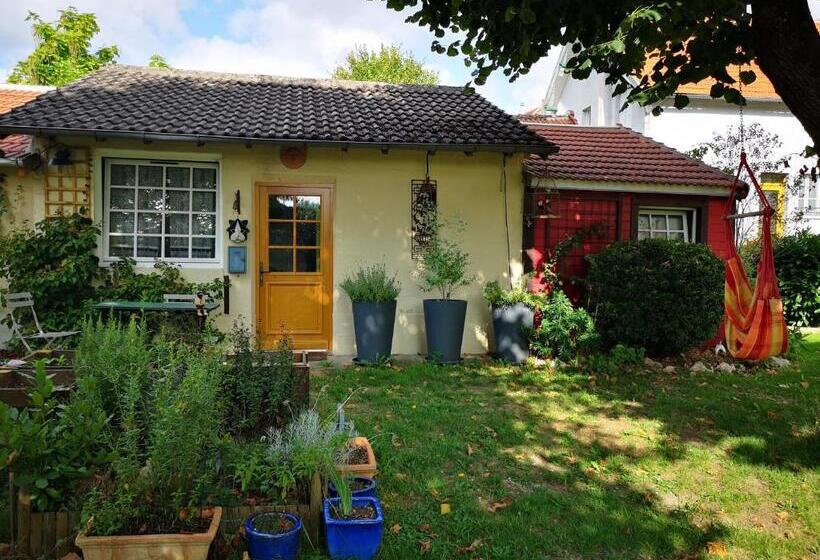 آپارتمان 1 خوابه با چشم‌انداز باغ, Villa Le Cloky