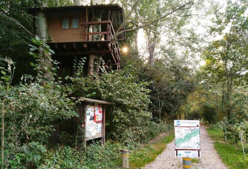 Стандартный Номер Кровать Кинг, Binario 9 3/4
