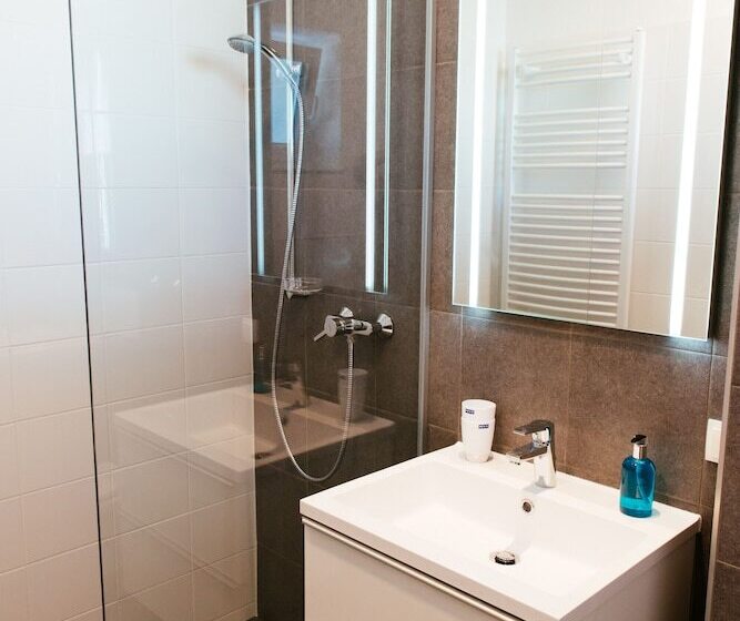 Апартаменты 1 Спальня, Aparthotel Heuberger
