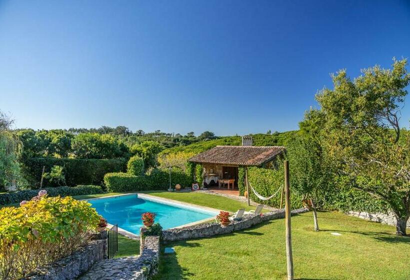 اتاق استاندارد چهار تخته, Country Village Senses   Quinta Exclusiva