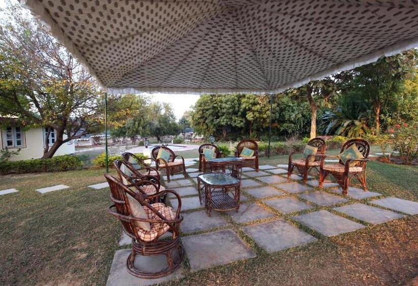 Deluxe Tent, Bhadrawati   A Riverside Safari Lodge Ranthambore