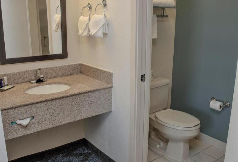 스탠다드 룸 더블 침대 2개, Sleep Inn Lake Wright  Norfolk Airport