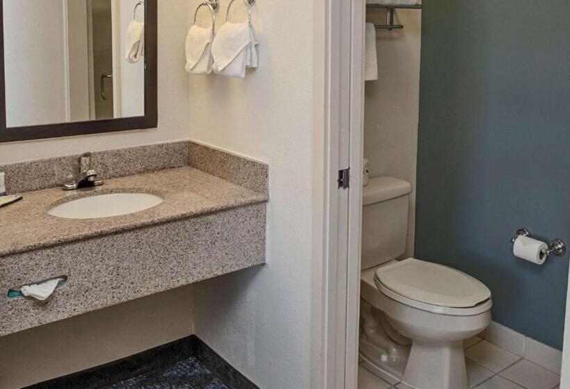 Номер Стандарт 2 Двуспальные Кровати, Sleep Inn Lake Wright  Norfolk Airport