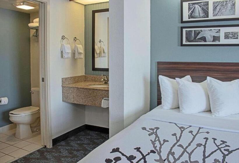 스탠다드 룸 더블 침대 2개, Sleep Inn Lake Wright  Norfolk Airport