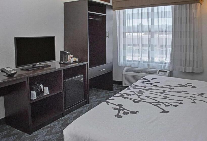 스탠다드 룸 킹사이즈 침대, Sleep Inn Lake Wright  Norfolk Airport