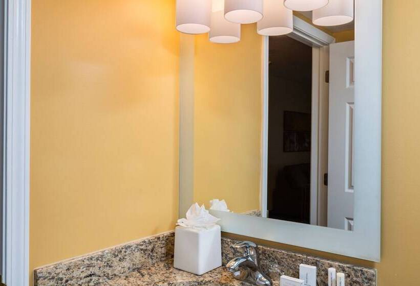 Люкс 2 Спальни, Towneplace Suites By Marriott Atlanta Kennesaw