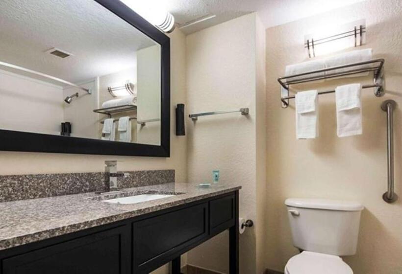 Стандартный Номер Кровать Кинг, Best Western Mulberry