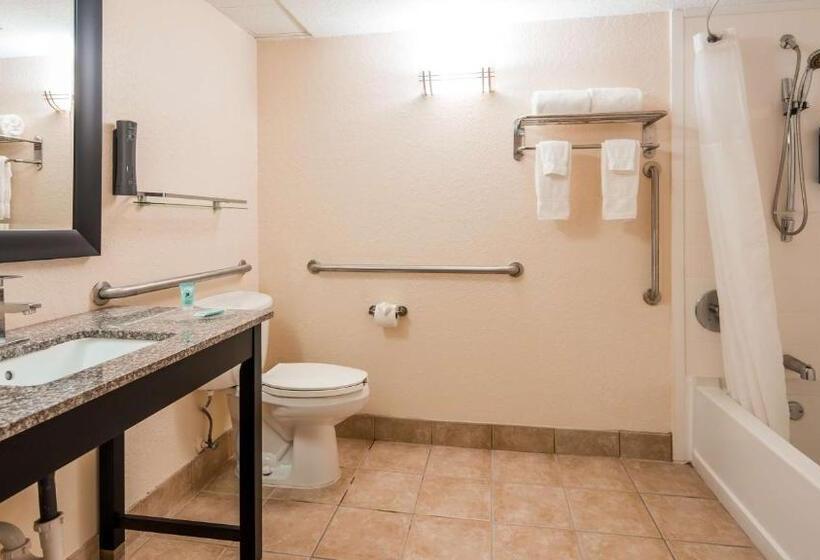 Номер Стандарт Кровать Кинг Адаптированный для Инвалидов, Best Western Mulberry