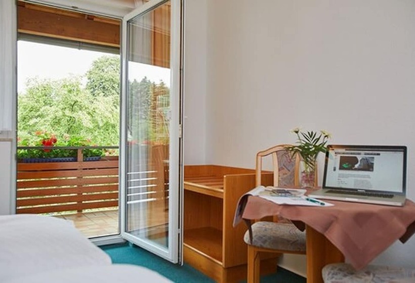 Номер Deluxe Одноместный, Tannmühle Hotel Und Restaurant Gmbh