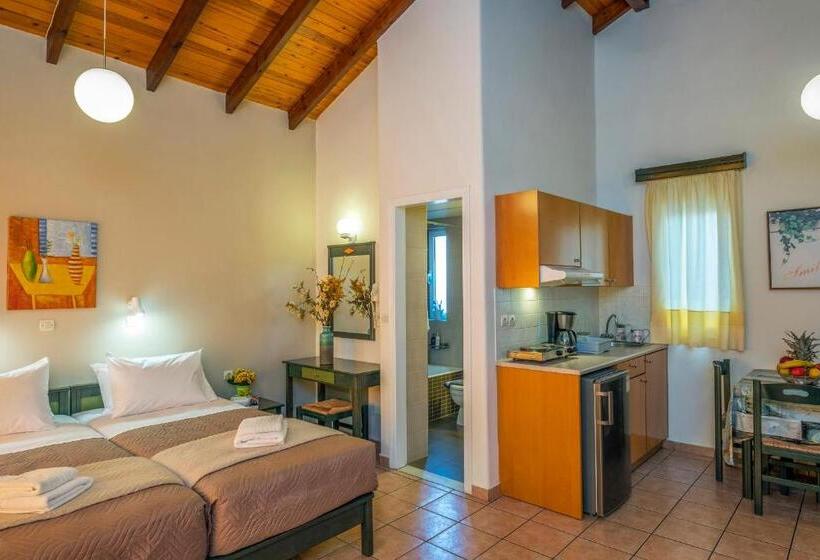 Студия Стандарт, Theos Holidays Apartments