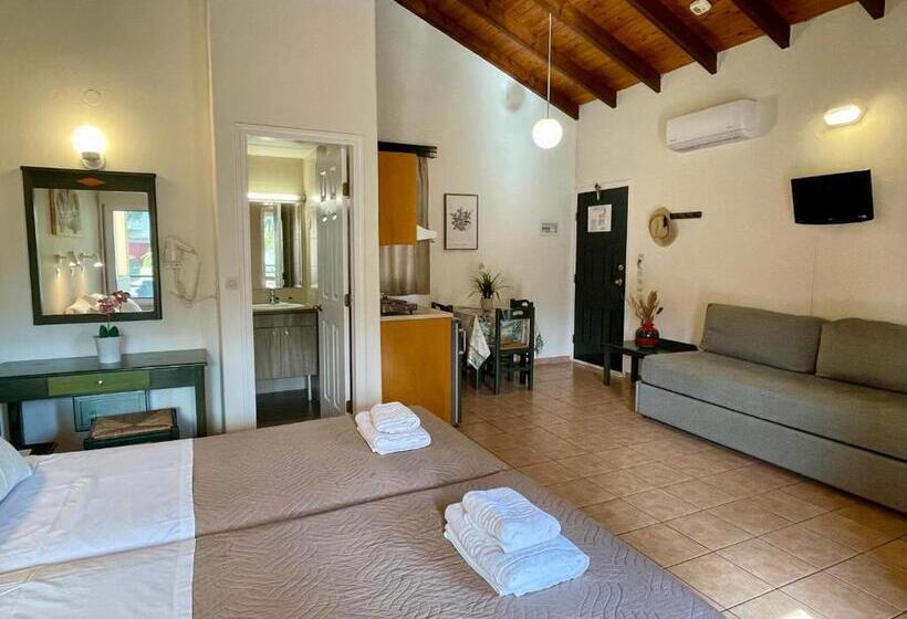Студия Стандарт, Theos Holidays Apartments