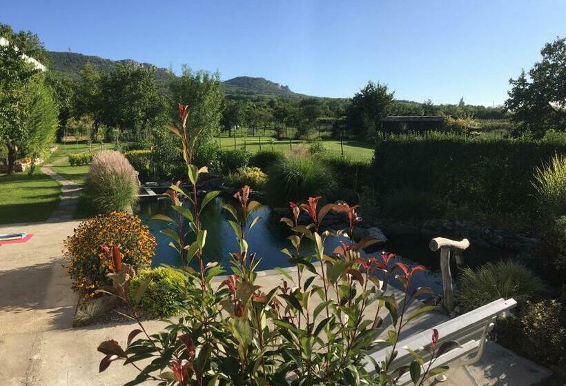Номер Стандарт, Penzion Primášé