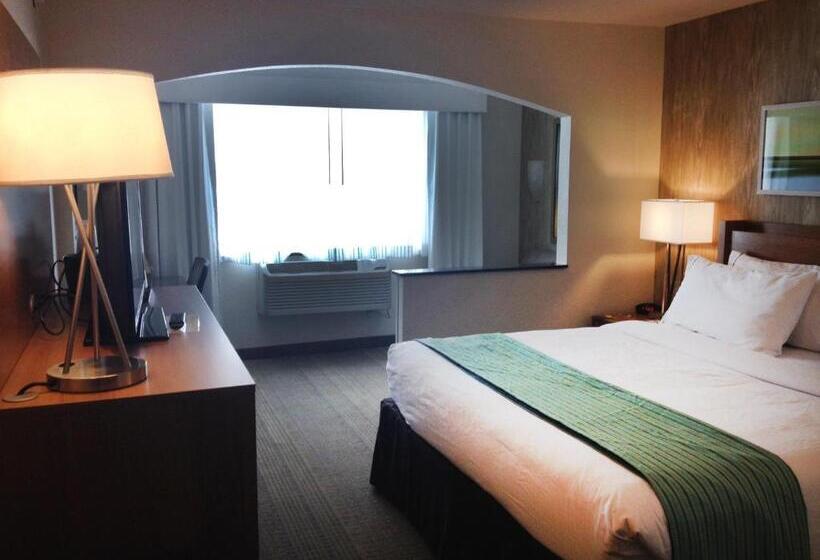 Номер Стандарт Кровать Кинг Адаптированный для Инвалидов, Holiday Inn Express Hotel & Suites Fraser Winter Park Area, An Ihg