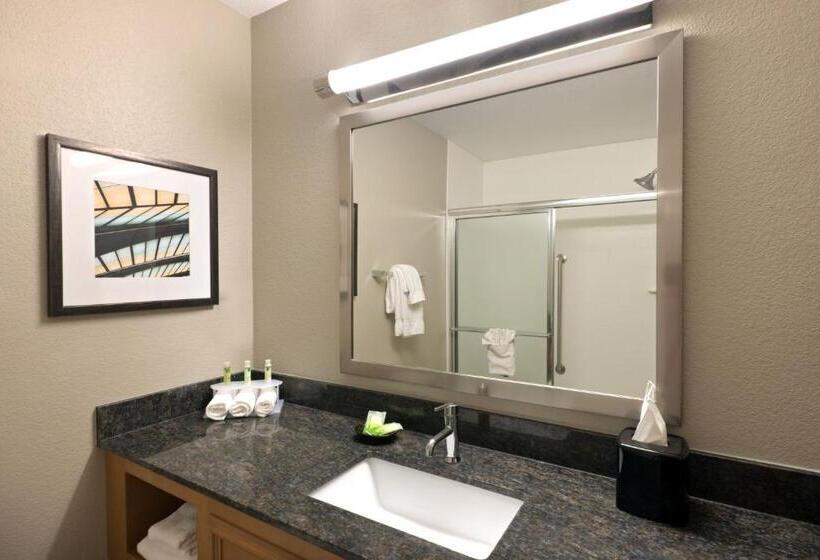 Люкс Адаптированный для Инвалидов, Holiday Inn Express Hotel & Suites Fraser Winter Park Area, An Ihg
