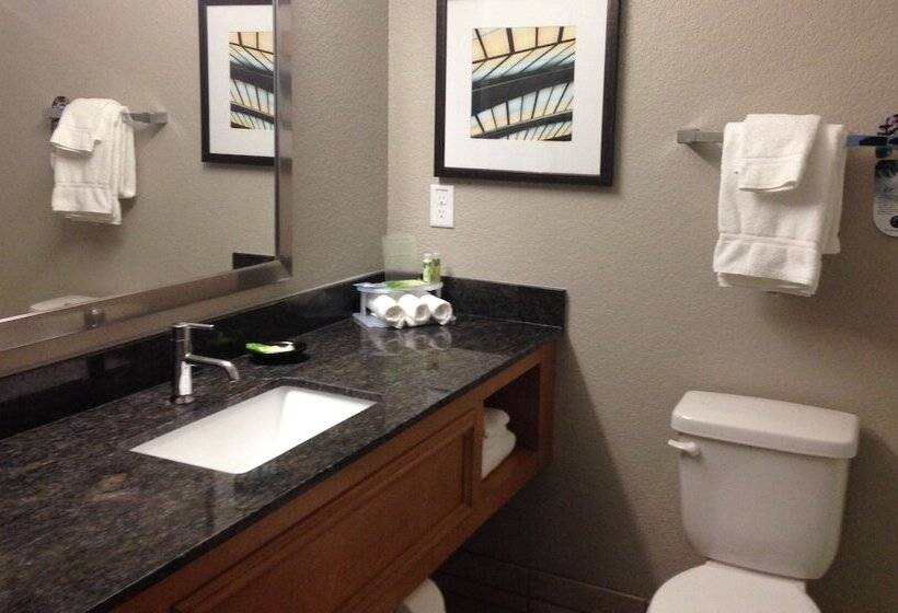 Номер Стандарт, Holiday Inn Express Hotel & Suites Fraser Winter Park Area, An Ihg