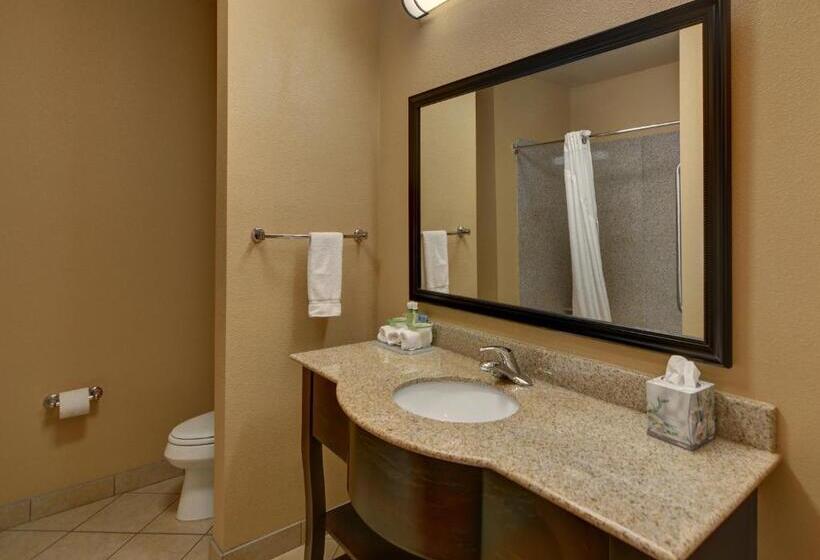 キングサイズベッドのスタンダードルーム, Holiday Inn Express Tyler South, An Ihg
