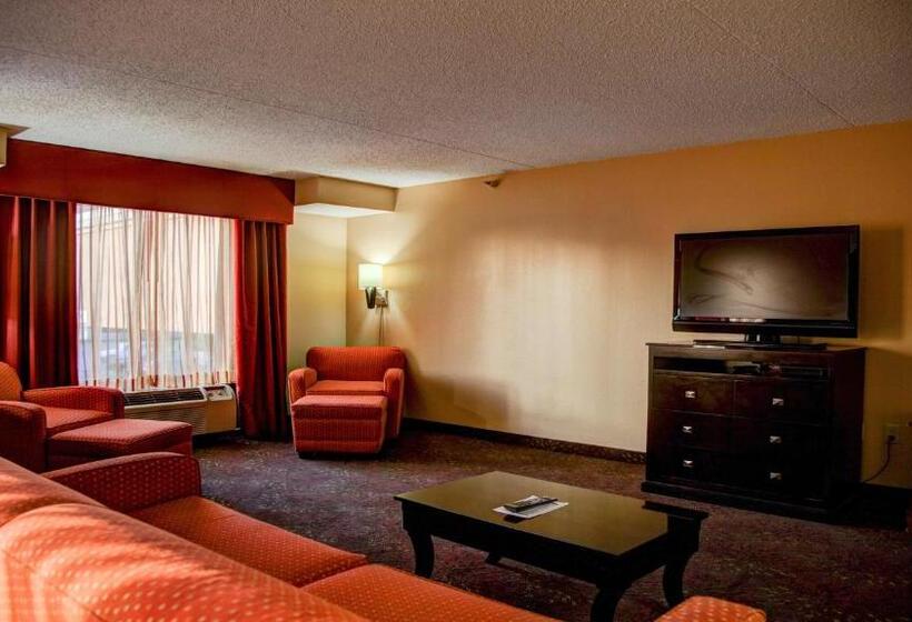 キングサイズベッドのスイートルーム, Holiday Inn Express Tyler South, An Ihg