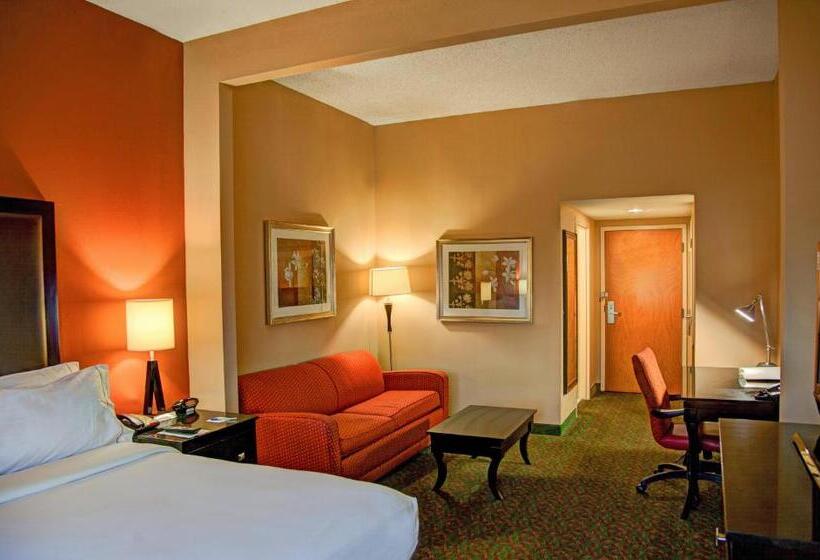キングサイズベッドのスタンダードルーム, Holiday Inn Express Tyler South, An Ihg