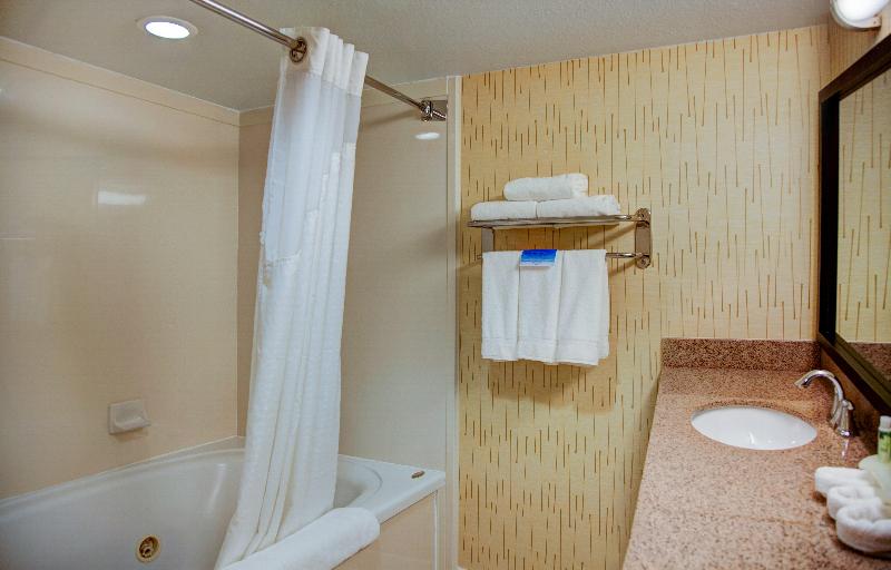 身障者適用キングサイズベッドルーム, Holiday Inn Express Tyler South, An Ihg