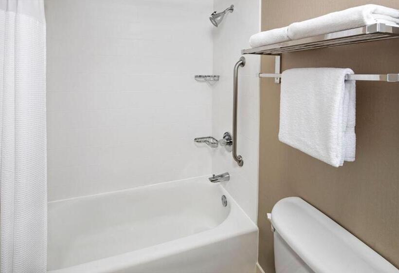 Люкс Адаптированный для Инвалидов, Springhill Suites Austin Round Rock