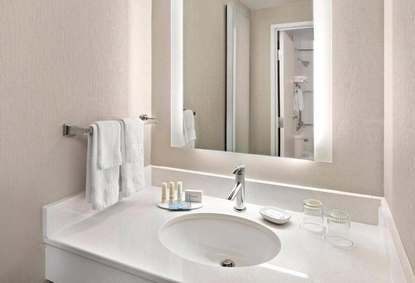 Люкс Адаптированный для Инвалидов, Springhill Suites Austin Round Rock