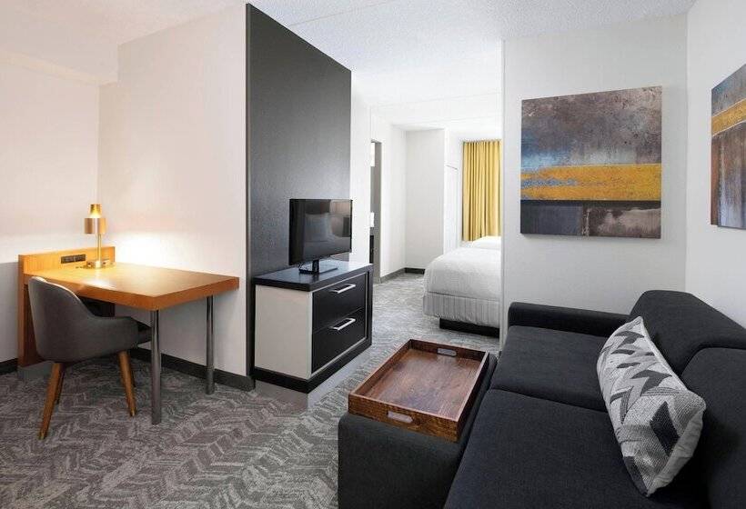 Люкс, Springhill Suites Austin Round Rock