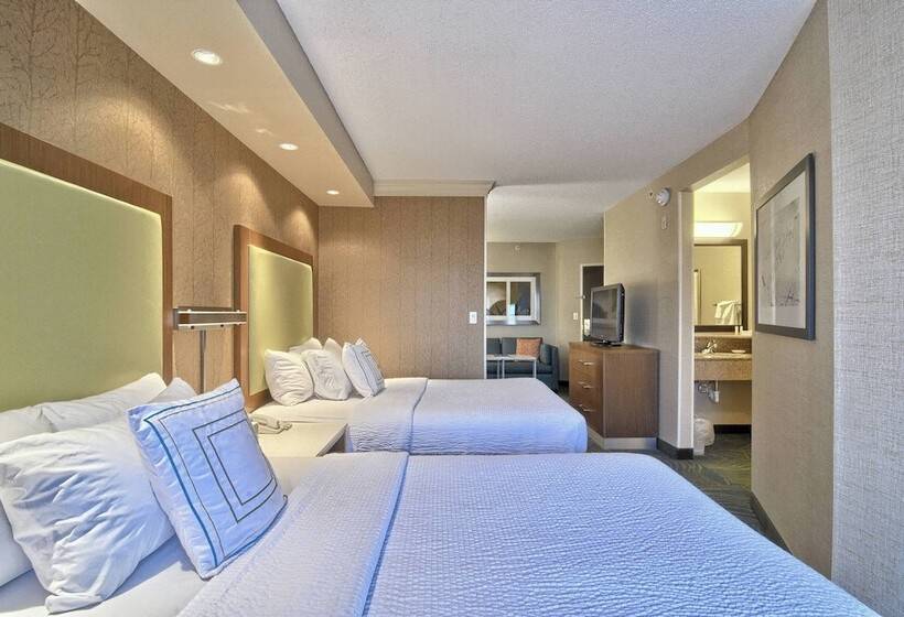 Люкс, Springhill Suites Detroit Southfield