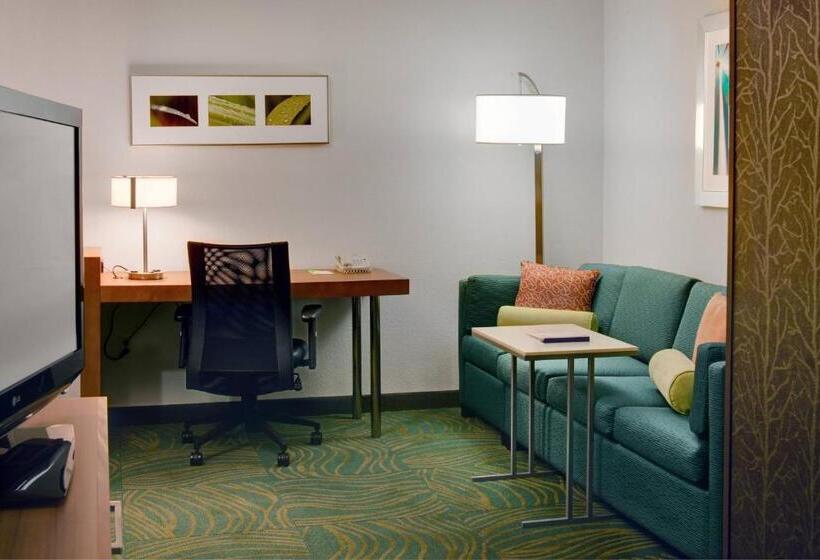 Студио Стандарт Кровать Кинг, Springhill Suites By Marriott Lansing