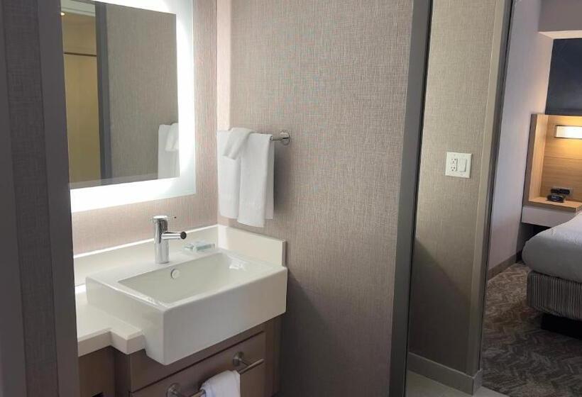 Студио Стандарт Кровать Кинг, Springhill Suites By Marriott Lansing